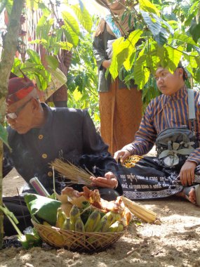 The old man does a ritual for manten kopi (Coffee marriage). Coffee marriage is the ceremony for harvesting coffee
