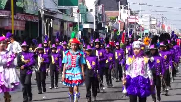 印度尼西亚庆祝国家教育日的嘉年华 — 图库视频影像