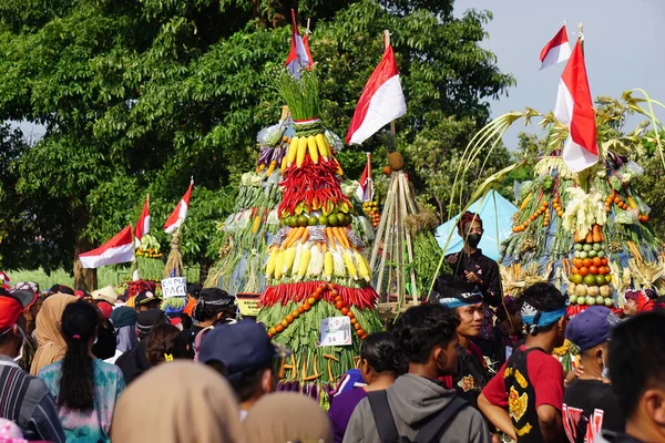 Kirab Tumpeng Hasil Bumi Święto Dziękczynienia Rolnika Okazji Indonezyjskiego Dnia — Zdjęcie stockowe