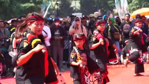 People Performing Pecut Samandiman Samandiman Whip Magic Heirloom Ponorogo Which — Stock Video