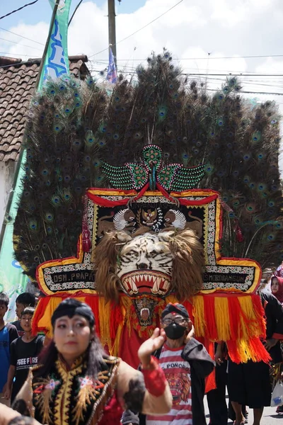 爪哇人表演Reog舞蹈 Reog是一种传统舞蹈 成为波诺戈摄政的主要特征 — 图库照片