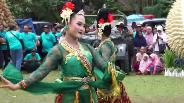 インドネシアでは スンベラスリ デュリアン フェスティバルで皇后の踊りを披露する このダンスはブライタルの歓迎ダンスです — ストック動画