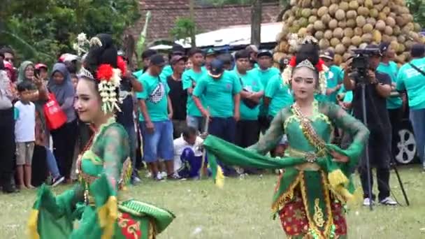 Indonéz Fellépő Emprak Tánc Sumberasri Durian Fesztivál Tánc Egy Üdvözlő — Stock videók