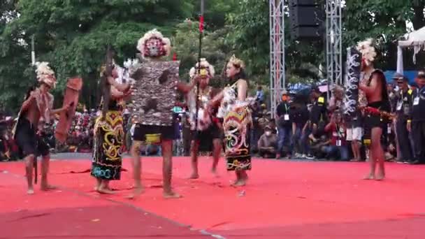 Indonéský Tanec Enggangů Tento Angažovaný Tanec Znázorňuje Každodenní Život Hornbillů — Stock video