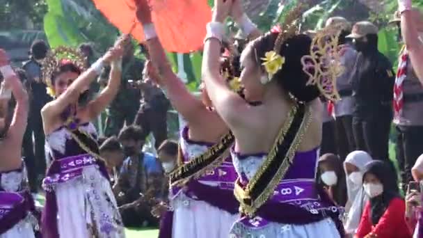 Lenggang Kali Brantas Dansı Dans Brantas Nehrinin Bazen Sakin Bazen — Stok video