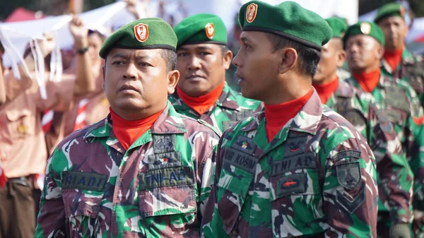 Tentara Indonesia Berseragam — Stok Foto