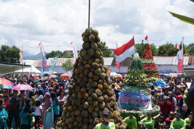 Endonezya, pulud ketan üzerinde tumpeng durian (durian koni) için savaşmaktadır. Pulud ketan, Kediri 'de düzenlenen Durian festivali.