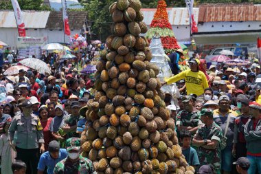 Endonezya, pulud ketan üzerinde tumpeng durian (durian koni) için savaşmaktadır. Pulud ketan, Kediri 'de düzenlenen Durian festivali.