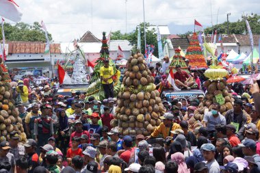 Endonezya, pulud ketan üzerinde tumpeng durian (durian koni) için savaşmaktadır. Pulud ketan, Kediri 'de düzenlenen Durian festivali.