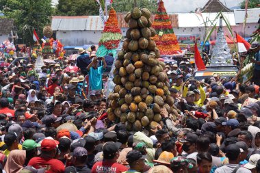 Endonezya, pulud ketan üzerinde tumpeng durian (durian koni) için savaşmaktadır. Pulud ketan, Kediri 'de düzenlenen Durian festivali.