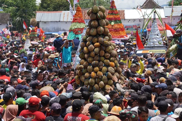 Indonesier Kämpft Den Tumpeng Durian Duriankegel Auf Pulud Ketan Pulud — Stockfoto