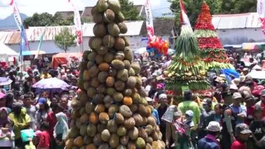 Endonezya, pulud ketan üzerinde tumpeng durian (durian koni) için savaşmaktadır. Pulud ketan, Kediri 'de düzenlenen Durian festivali.