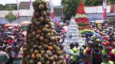 Endonezya, pulud ketan üzerinde tumpeng durian (durian koni) için savaşmaktadır. Pulud ketan, Kediri 'de düzenlenen Durian festivali.