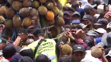 Endonezya, pulud ketan üzerinde tumpeng durian (durian koni) için savaşmaktadır. Pulud ketan, Kediri 'de düzenlenen Durian festivali.