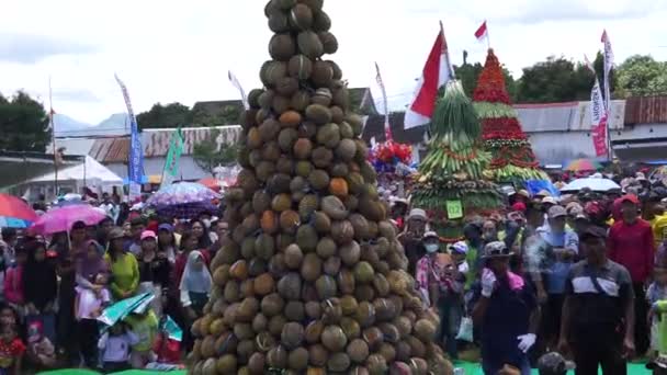 Indonesio Está Luchando Por Tumpeng Durian Cono Durian Ketan Pulud — Vídeo de stock