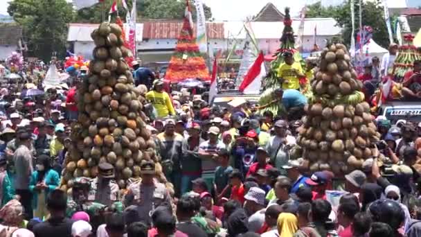 Indonésio Está Lutando Pelo Tumpeng Durian Cone Duriano Pulud Ketan — Vídeo de Stock