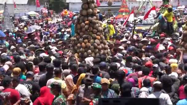 Indonesier Kämpft Den Tumpeng Durian Duriankegel Auf Pulud Ketan Pulud — Stockvideo