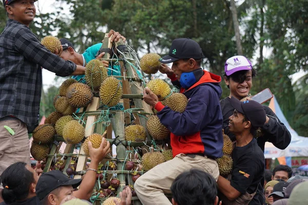 Indonésio Estão Carregando Tumpeng Durian Festival Durian Sumberasri — Fotografia de Stock
