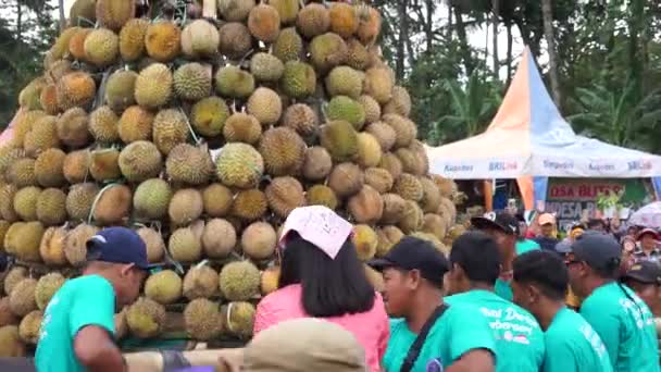 Indonezyjczycy Niosą Tumpeng Durian Festiwalu Sumberasri Durian — Wideo stockowe