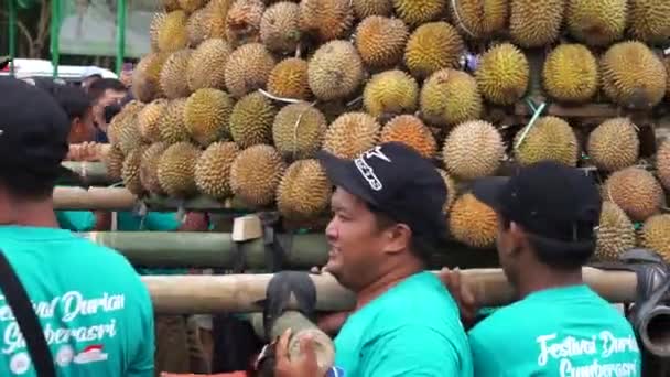 Indonesian Carrying Tumpeng Durian Sumberasri Durian Festival — Stock Video