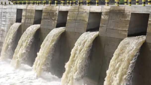 Nehir Suyu Barajdan Akıyor — Stok video
