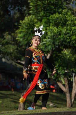 Endonezyalı burung nuri (papağan) dansı yapıyor. Bu dans Batı Borneo 'dan geliyor.