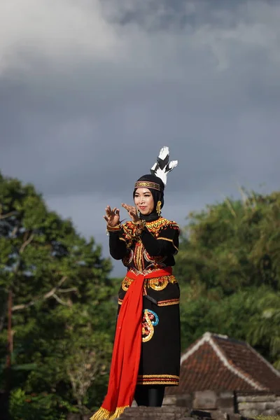 インドネシア人がバーンヌリ オウム ダンスを披露します このダンスは西ボルネオから来ています — ストック写真