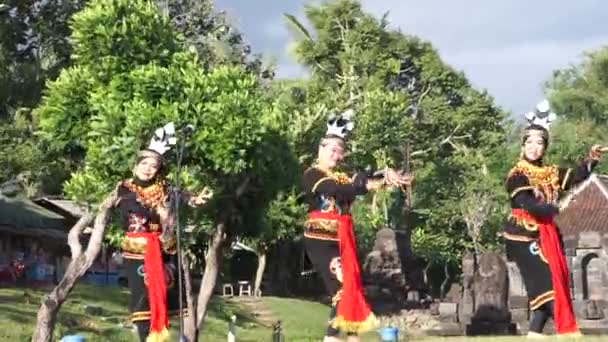 印尼人在表演粗壮的鹦鹉 这支舞来自西婆罗洲 — 图库视频影像