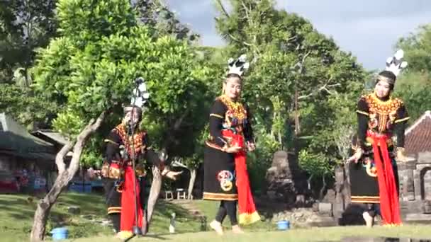 インドネシア人がバーンヌリ オウム ダンスを披露します このダンスは西ボルネオから来ています — ストック動画