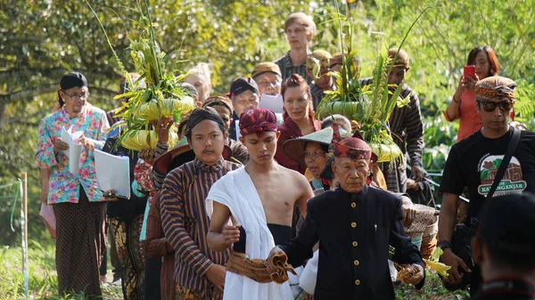 Ceremonia Manten Kopi Małżeństwo Kawy Manten Kopi Jest Jednym Rytuałów — Zdjęcie stockowe
