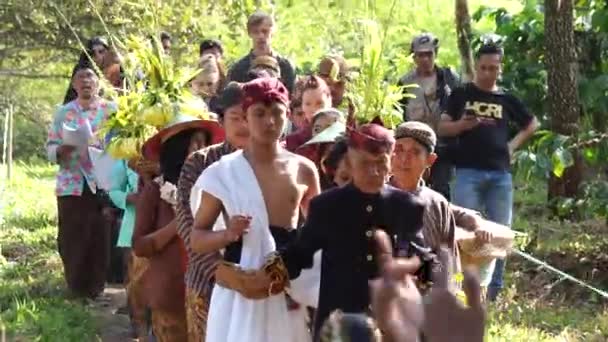 万天コピ コーヒー結婚 の儀式 マンテン Manten Kopi インドネシアの東ジャワ州モダンガン 英語版 で収穫されるコーヒーの儀式の一つ — ストック動画