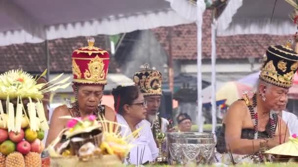 Procession Wedar Hayuning Penataran Ceremony Held Hindus Aim Indonesia Given — Stock Video