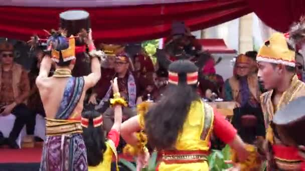 Pane Meu Unen Danza Bengkulu Esta Danza Simboliza Cooperación Mutua — Vídeo de stock