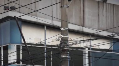 Gökyüzü arkaplanı olan elektrik kablo ağı