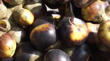 Borassus flabellifer (doub palmiye, palmiye, tala, toddy palmiye, şarap palmiyesi, buz elması, pohon lontar). Bu meyvenin tadı genç hindistan cevizi gibi. 