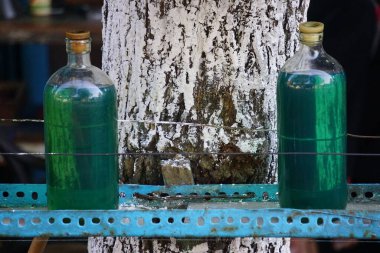 Şişede benzin var. Endonezya 'daki küçük bir benzin istasyonu.