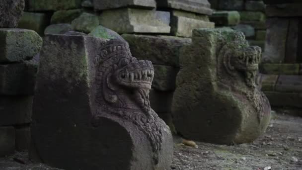 Ruin Gambar Wetan Temple Gambar Wetan Temple Built Majapahit Kingdom — Stock Video