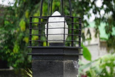 Doğal arka planı olan siyah modern bir lamba.