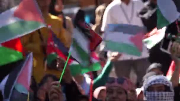 Gente Sostiene Palestina Stop Crimini Guerra Genocidi Cessate Fuoco — Video Stock