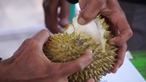 Durian Gyümölcs Királya Durian Egyik Egzotikus Gyümölcs Kelet Ázsiából Ennek — Stock videók