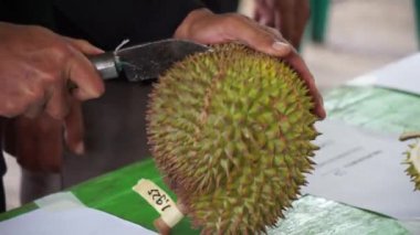 Durian, meyvelerin kralı. Durian, Doğu Asya 'nın egzotik meyvelerinden biridir. Bu meyvenin güçlü bir kokusu var.,