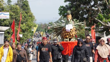 Kelud, Kediri, Doğu Java, Endonezya 'da ananas festivali
