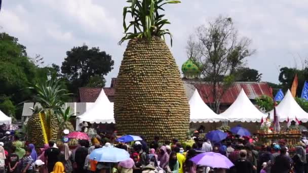 印度尼西亚东爪哇Kediri Kelud的菠萝节 — 图库视频影像