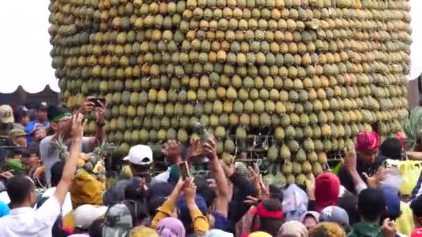 Ananas Festival Kelud Kediri Oost Java Indonesië — Stockvideo