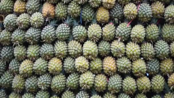 Ananas Ananas Comosus Med Naturlig Bakgrund Exotisk Tropisk Frukt Indonesiska — Stockvideo