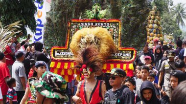 Reog Ponorogo, tavus kuşu kuyruğu tüyleriyle süslenmiş büyük kaplanı andıran maskeli dansçılardan oluşan bir bale gösterisi yapıyor.