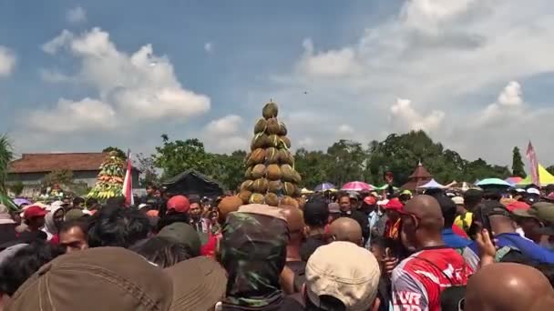 Kediri Jamboren Durian Festivali Duren Meyvenin Kralı Olarak Bilinir — Stok video