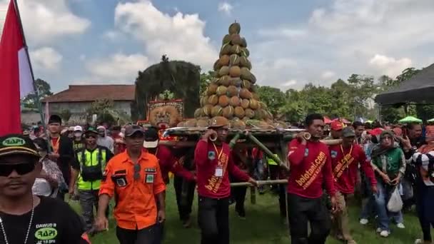 Jamboren Festiwal Durianów Kediri Duren Jest Nazywany Królem Owoców — Wideo stockowe