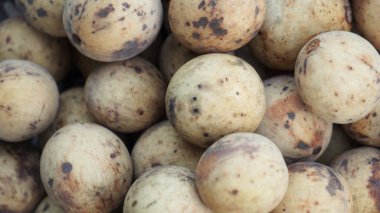 Lansium parazitium (duku, langsat, kokosan, pisitan, celoring). Lansium paraziti, çiğ çiğ yenebilen meyveleri için yetiştirilir. Meyve şurupla da şişelenebilir.