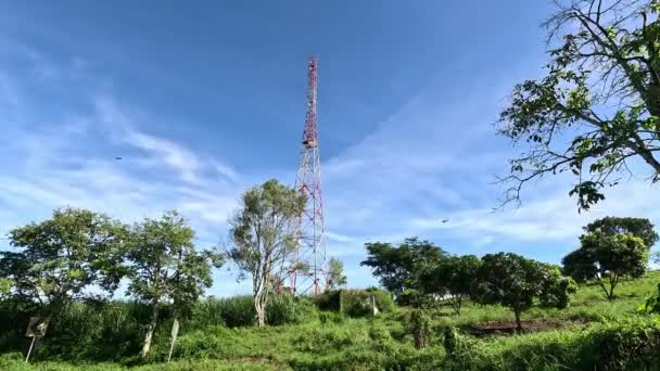 Torre Blanca Roja Con Fondo Azul Del Cielo Naturaleza — Vídeos de Stock